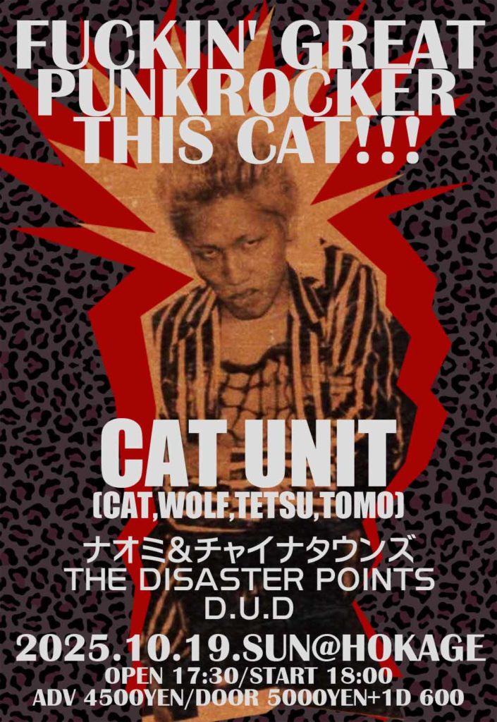 FUCKIN’ GREAT PUNKROCKER THIS CAT!!!